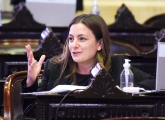 Vanesa Siley: “El de Pablo Moyano fue un caso emblemático de persecución política”