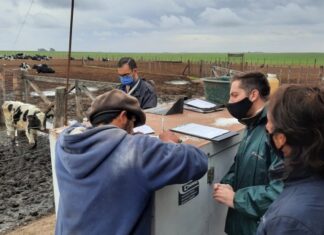 El RENATRE buscará regularizar a 500 mil trabajadores rurales