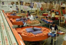 Neuquén y Río Negro: El Sindicato de la fruta acordó un 40,5% de aumento salarial