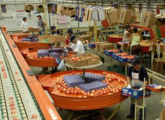 Neuquén y Río Negro: El Sindicato de la fruta acordó un 40,5% de aumento salarial