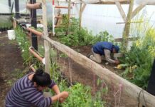 A pesar de la pandemia, el 87% de las cooperativas de trabajo continúa en actividad