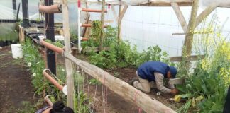A pesar de la pandemia, el 87% de las cooperativas de trabajo continúa en actividad
