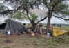 Fueron rescatadas más de 130 víctimas de trabajo esclavo