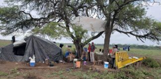Fueron rescatadas más de 130 víctimas de trabajo esclavo