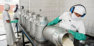Trabajadores lácteos denunciar que por cada litro de leche solo se destina $1,60 a salarios