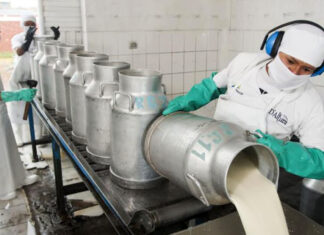 Trabajadores lácteos denunciar que por cada litro de leche solo se destina $1,60 a salarios