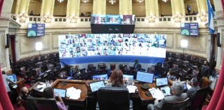 El Senado comenzará a tratar el proyecto sobre Ganancias