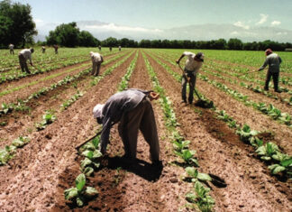 Trabajadores rurales le reclamaron un sueldo mínimo a la Mesa de Enlace