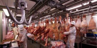 Paritarias: gremio de la carne acordó un aumento salarial del 45%