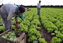 Paritarias: UATRE acordó un aumento salarial superior al 48%
