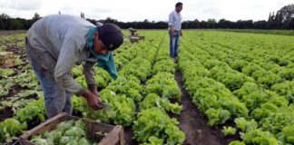Paritarias: UATRE acordó un aumento salarial superior al 48%