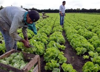 Paritarias: UATRE acordó un aumento salarial superior al 48%