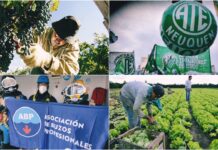 Paritarias: Los diez gremios que cerraron mejores aumentos
