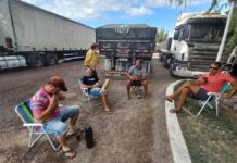 Ya son 3 mil los camioneros varados en la frontera con Chile y reclaman mejoras en controles sanitarios