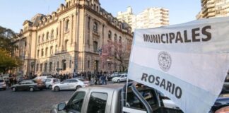 Rosario: conflicto gremial por la castración animal