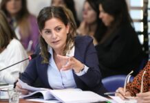 Diputados del FDT expresaron su rechazo a los despidos en Clarín