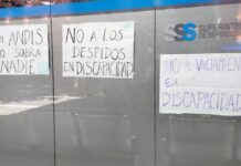 Desmantelamiento de la inclusión: Milei anuncia 160 despidos en la Agencia Nacional de Discapacidad